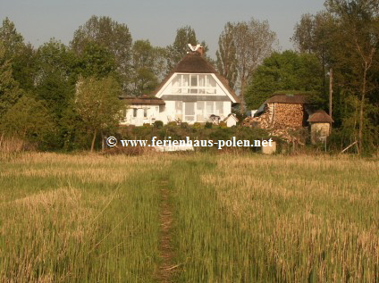 Ferienhaus Polen - Ferienhaus Viola in Dziwnowek an der Ostsee / Polen