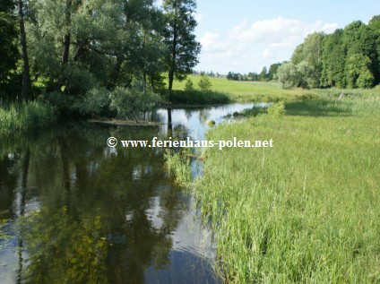 Ferienhaus Polen - Ferienhaus Bami/ Masuren (Mazury) Polen