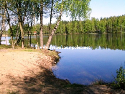 Ferienhaus Polen - Ferienhaus Grajek in Kaszuby (Kaschubei) nhe  Gdansk (Danzig) an der Ostsee/Polen