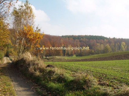 Ferienhaus Polen Kaczka (12)1