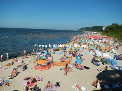 Ferienhaus Polen - Ferienhuser und Ferienwohnungen in Miedzyzdroje (MIsdroy) an der Ostsee / Polen